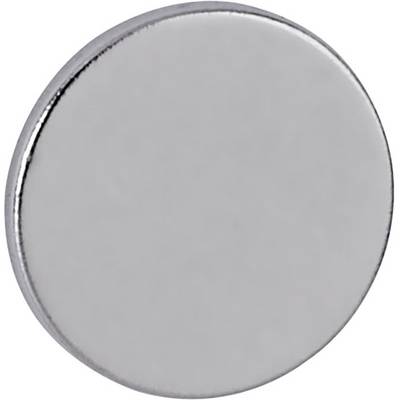 A small, round silver magnet with a smooth surface.