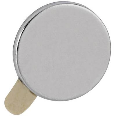 A round, silver magnet with a small wooden disc on its side.