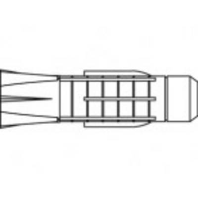 Schematic diagram of an aircraft with wings and jet engine, top view.