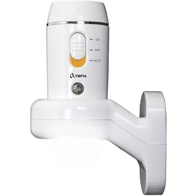 Wall light with motion sensor and switch options 'ON', 'OFF', 'AUTO'.