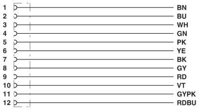 'Table with 12 vertical lines, numbered from top to bottom. Each line has a two-letter colour combination, e.g. 1: BN, 2: BU.'