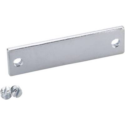 Metal plate with two holes and two screws.
