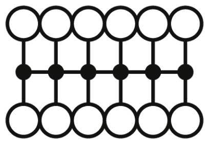 A simple, abstract representation of a rectangular structure composed of interconnected circles in a grid layout.