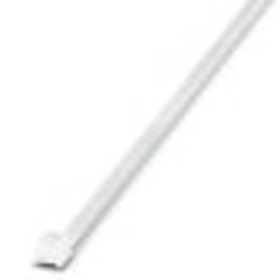A long, white cane, which is frequently used by blind or visually impaired people for orientation.