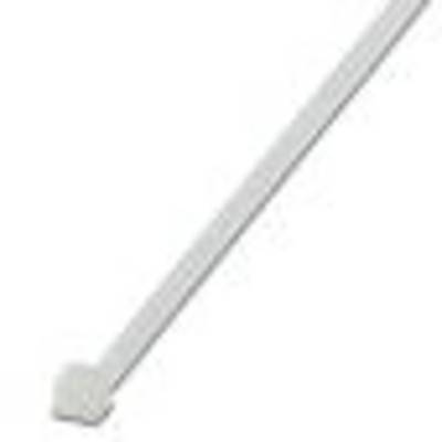 A white plastic cable tie on a white background.