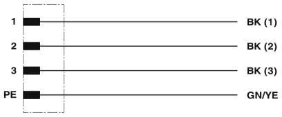 Diagram of an electrical wiring system with four conductors, numbered 1 to 3 and PE. All conductors are labelled 'BK', with PE labelled 'GN/YE'.