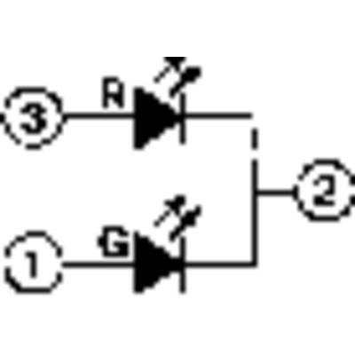 'A simple circuit diagram shows two light-emitting diodes (R and G) in series with three connection points marked 1, 2, and 3.'