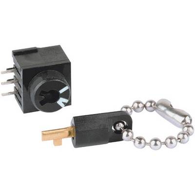 A black connector plug with metal pins and a removable metal pin on a chain.