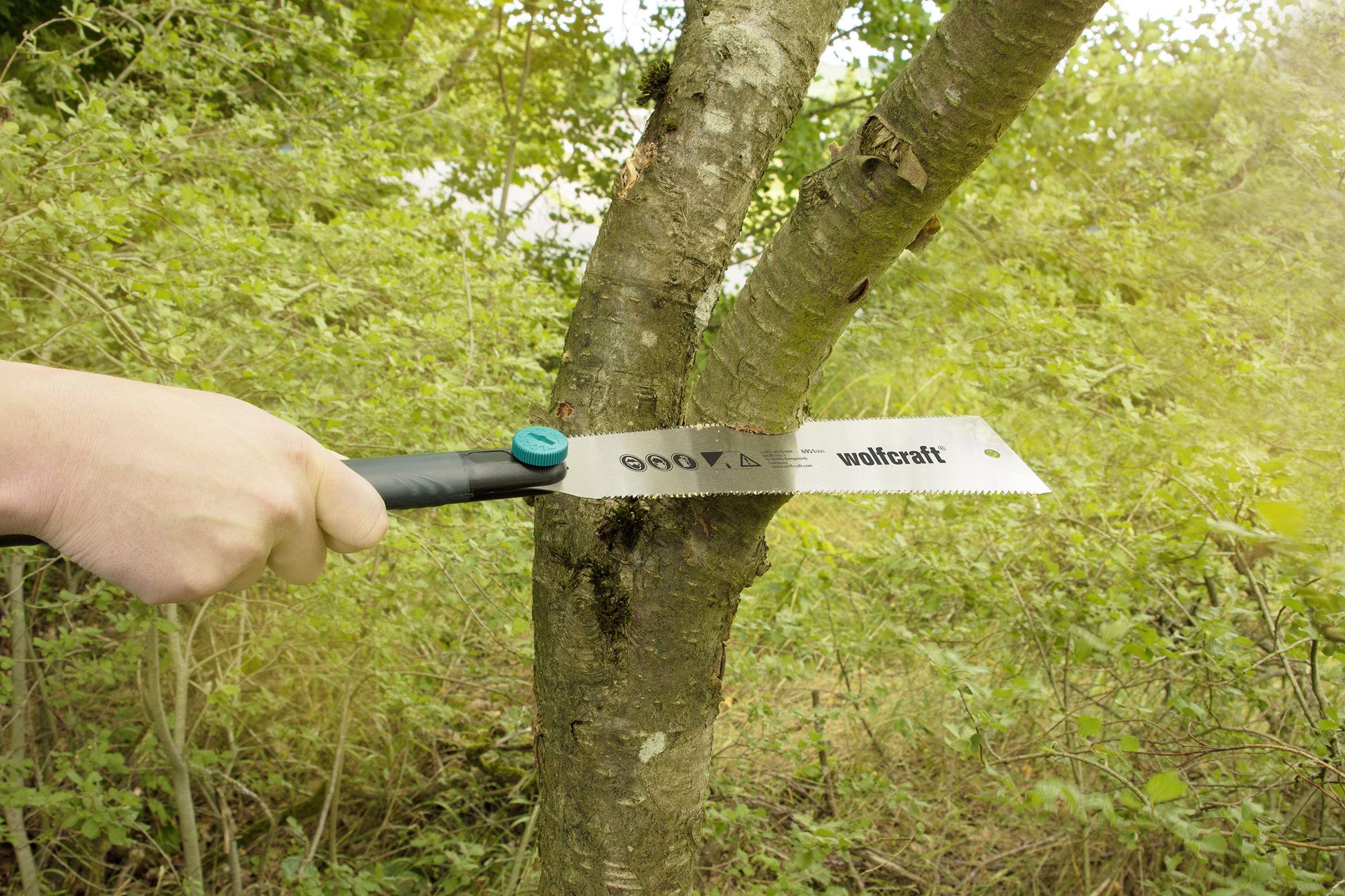 A man is sawing off a tree branch in the forest using a hand saw.