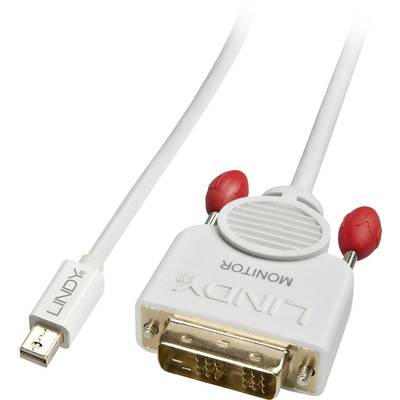 LINDY Mini DisplayPort / DVI Adapter cable Mini DisplayPort plug, DVI-D 18+1-pin plug 2.00 m White 41957  DisplayPort ca