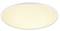 Round ceiling light with white border and warm yellow light.