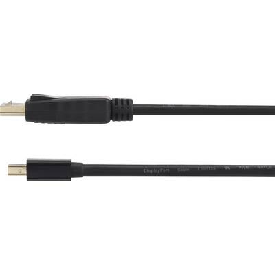 Two black cables, one with an HDMI connector and the other with another unspecified connector.