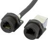 W & P Products W & P Products N/A W654-1-7-1 RJ45 connector enclosure Black 1 pc(s) W654-1-7-1 RJ45 connector enclosure Black 1 pc(s)