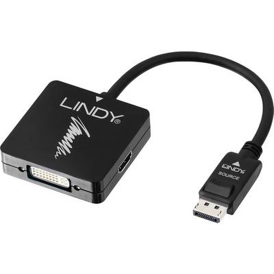 A black adapter that connects a DisplayPort cable to a DVI or HDMI output. The adapter is branded 'LINDY'.