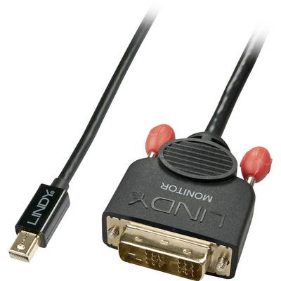 'A black cable with a Mini DisplayPort connector on one side and a DVI connector on the other.'