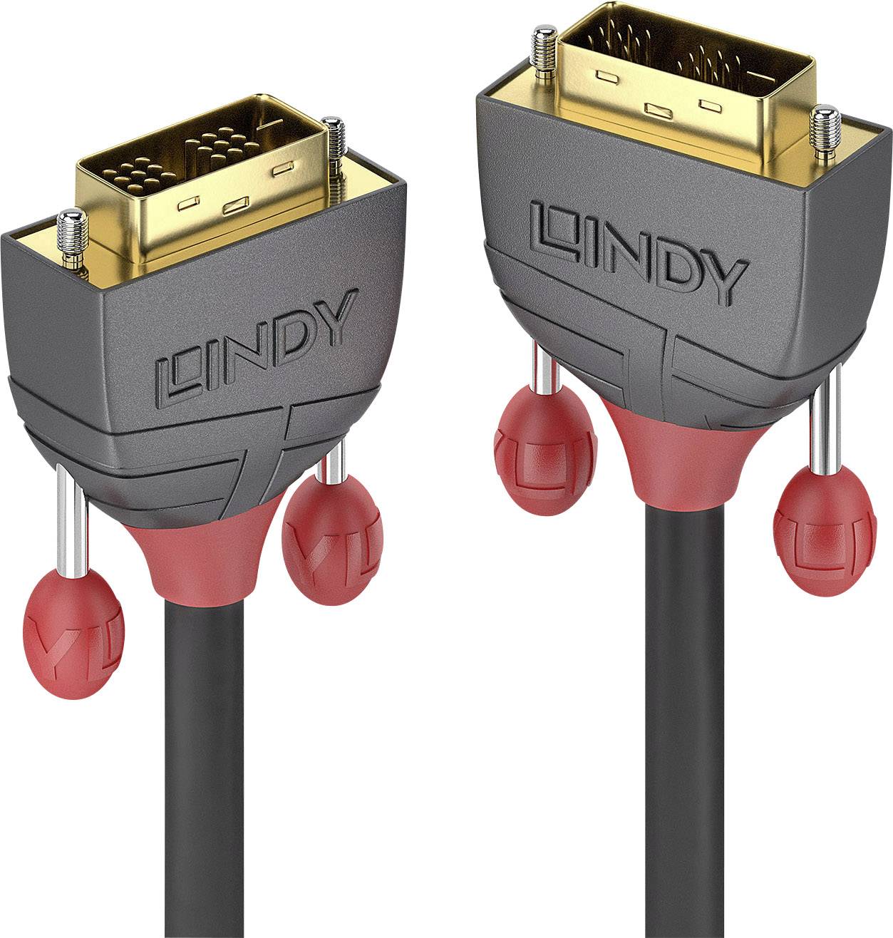 Two black and red DVI plugs with the 'LINDY' inscription, showing firmly tightened screws for a secure video cable connection.