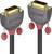 Two black and red DVI plugs with the 'LINDY' inscription, showing firmly tightened screws for a secure video cable connection.