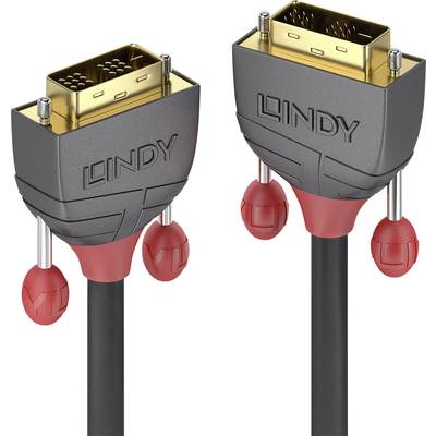 LINDY DVI Cable DVI-D 18+1-pin plug, DVI-D 18+1-pin plug 25.00 m Black 36243 DVI cable-1