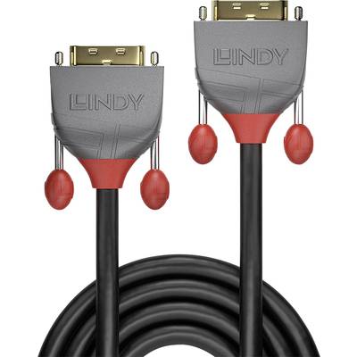 LINDY DVI Cable DVI-D 24+1-pin plug, DVI-D 24+1-pin plug 0.50 m Black 36220  DVI cable