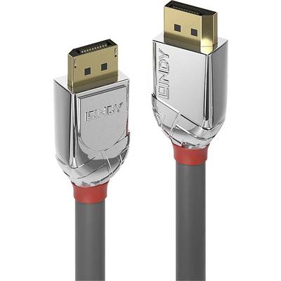 Two DisplayPort cables with silver, metallic connectors and red details, suitable for high-resolution video and audio transmission.