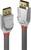 'DisplayPort cable by Lindy, two plugs with gold contacts, grey cable with red accents on the plugs.'