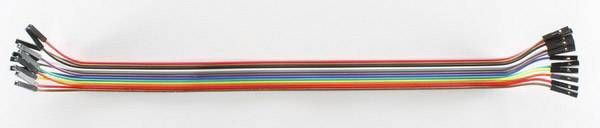 TinkerForge  Jumper cable Raspberry Pi®, TinkerForge [12x Wire jumper socket - 12x Wire jumper socket] 30.00 cm Multi-coloured
