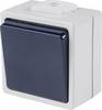AS Schwabe 62450 Surface-mount switch IP54 Grey
