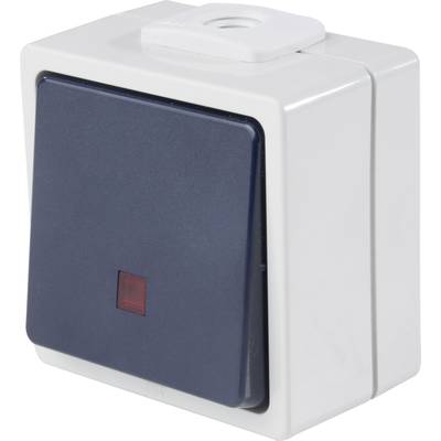 AS Schwabe 62453  Pushbutton  incl. light IP54 Grey
