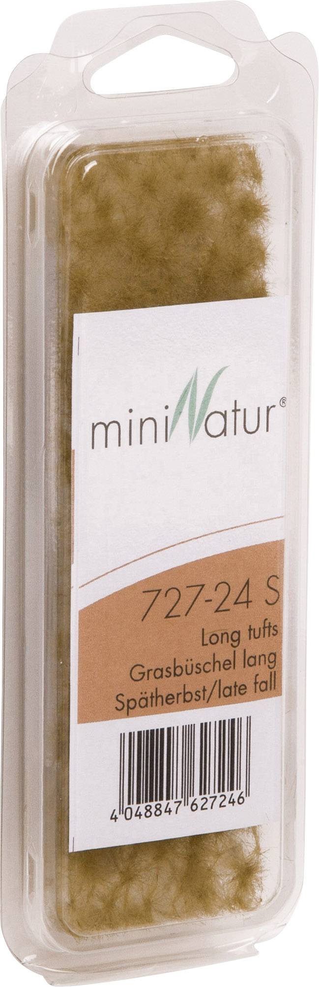 Mininatur 727-24 S Tuft of grass (long) Late autumn-1