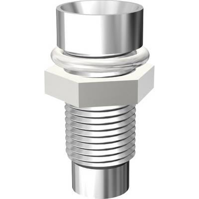 Metal screw with cylindrical head and thread.