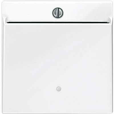 White letterbox with a slot at the top and a locking mechanism, suitable for receiving letters and small parcels.