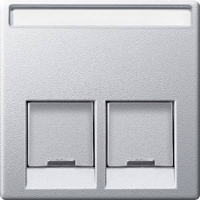 Two RJ45 network sockets in a silver wall plate. A white labelling field is located at the top.