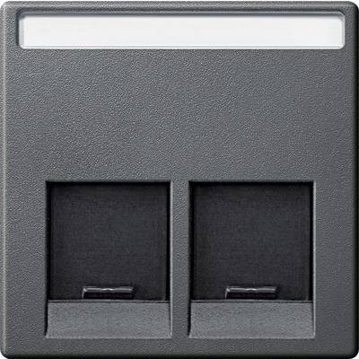 Double network socket outlet in a wall.