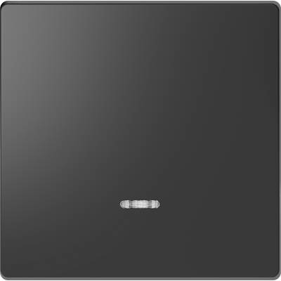 A black, rectangular touchpanel with a horizontal, white LED strip in the lower centre.