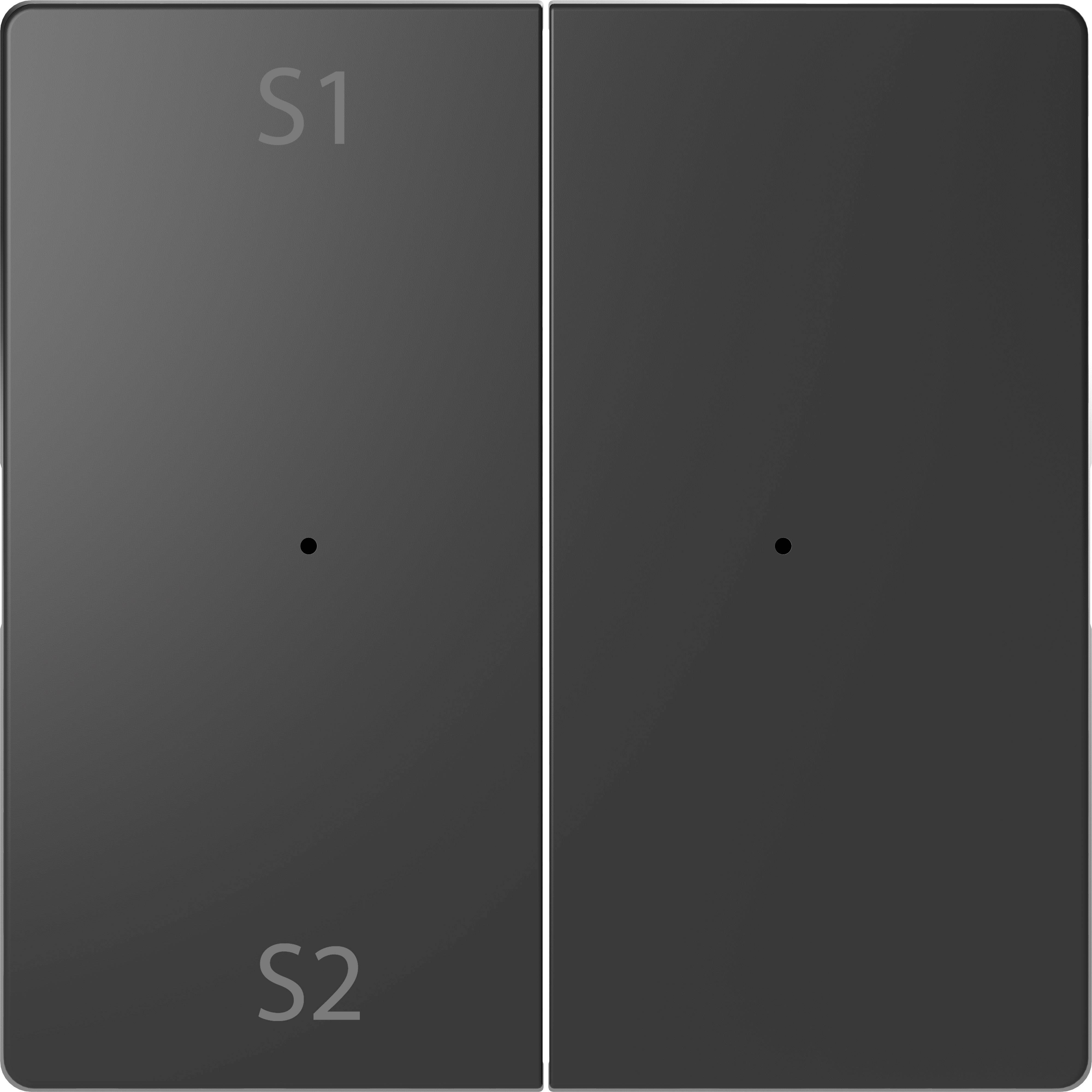 Two dark squares side by side, labelled 'S1' and 'S2'. A small point in the centre of each square.