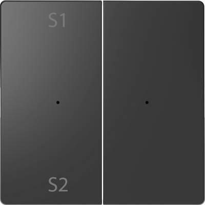 Two dark squares side by side, labelled 'S1' and 'S2'. A small point in the centre of each square.