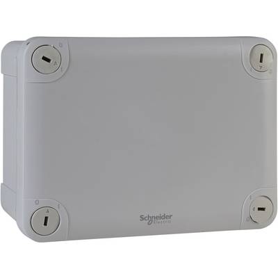 Grey electrical enclosure with the 'Schneider Electric' logo. It has four sealed screws at the corners.