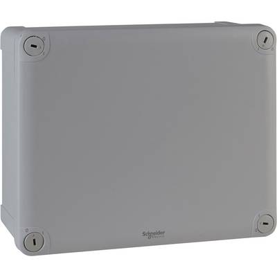 Grey rectangular enclosure with rounded corners, 'Schneider Electric' brand at the bottom.