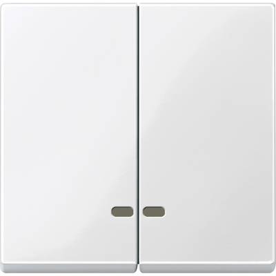 A double light switch in a closed position, white and minimalist, without any visible markings or logos.