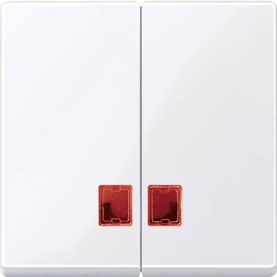 Two white light switches with red indicator lamps in the bottom centre, in the off position.