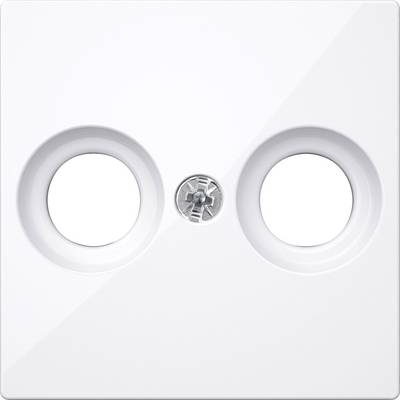 White cover plate with two round openings and a screw hole in the centre for socket mounting.
