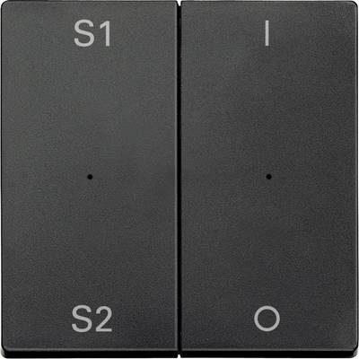 Two grey switches in adjacent positions with labels 'S1', 'S2' on the left switch and 'I', 'O' on the right switch.