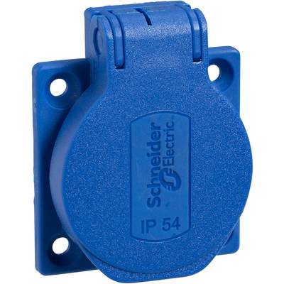 Blue socket with cover, marked with 'IP 54' and 'Schneider Electric', suitable for wall mounting.