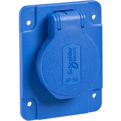 Blue electrical socket with 'Schneider Electric' marking and IP54 protection rating, suitable for use in dusty and damp environments.