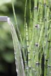 Waterfall Kit 30
