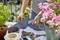 A person is filling soil into a pot on a table in a garden. Various plants are scattered around, including flowering pink blossoms.