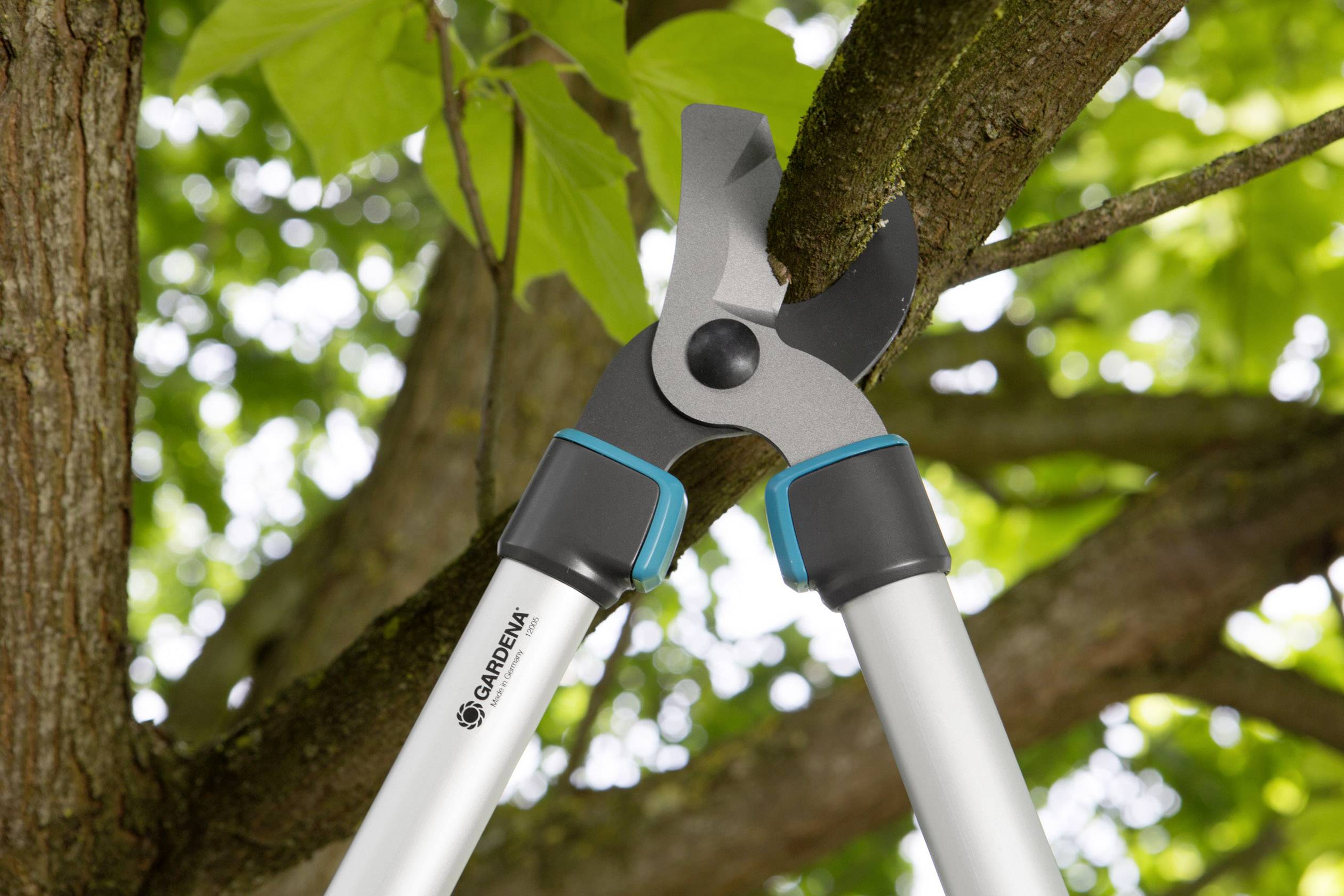 Garden shears cutting a tree branch. The background shows green leaves that highlight the vitality of the garden.