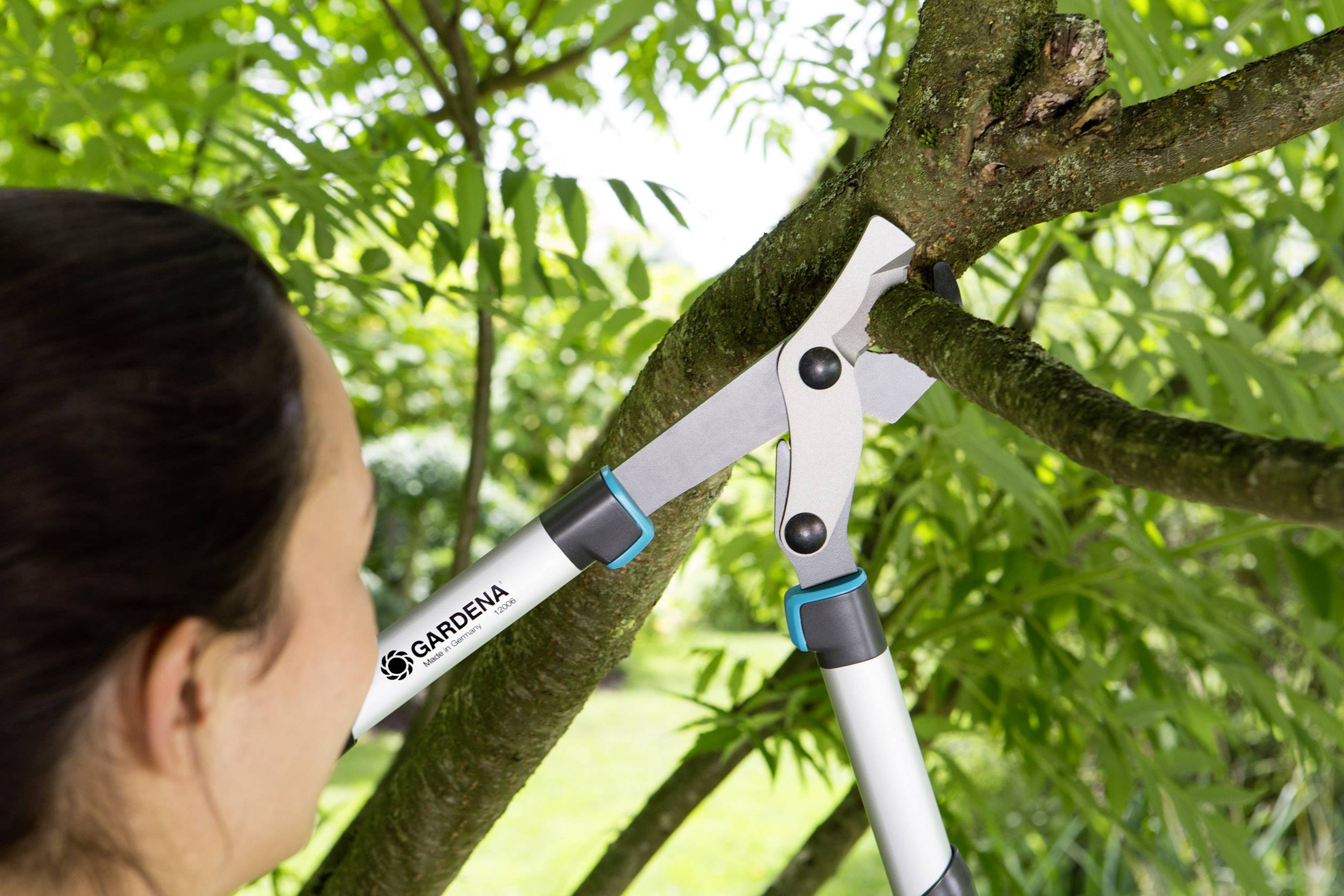 A person is cutting a branch from a tree in the garden using garden shears. The shears are made by Gardena.