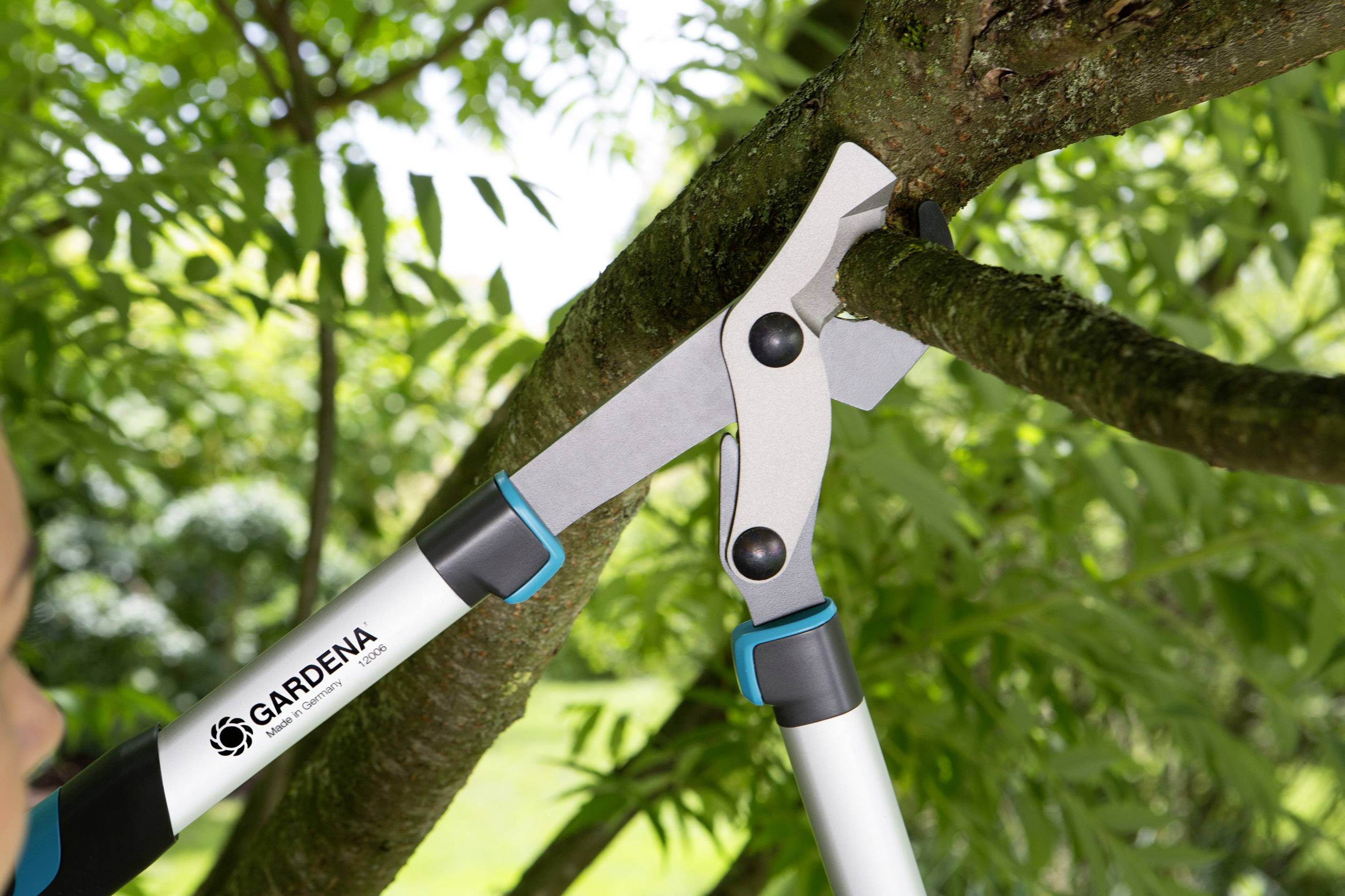 A garden tree pruner is cutting a branch. The branch is thick and is being cut through. Green leaves can be seen in the background.
