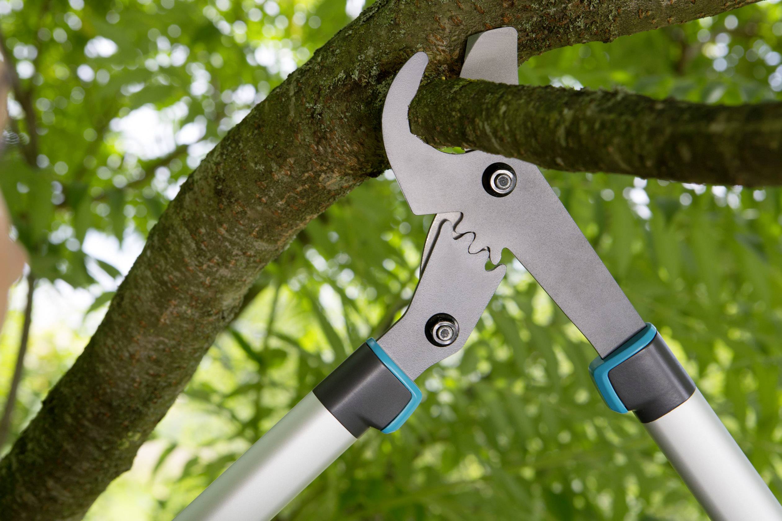 Garden secateurs cutting a thick branch; green background with leaves.